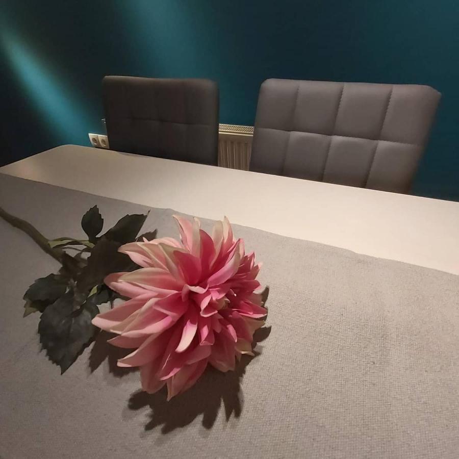 King Apartment 巴尼西卢卡 外观 照片